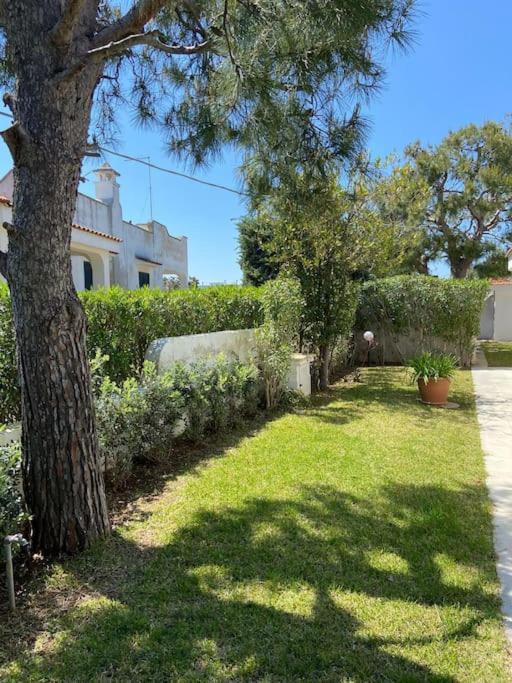 Villa A Marina Di Ostuni Extérieur photo